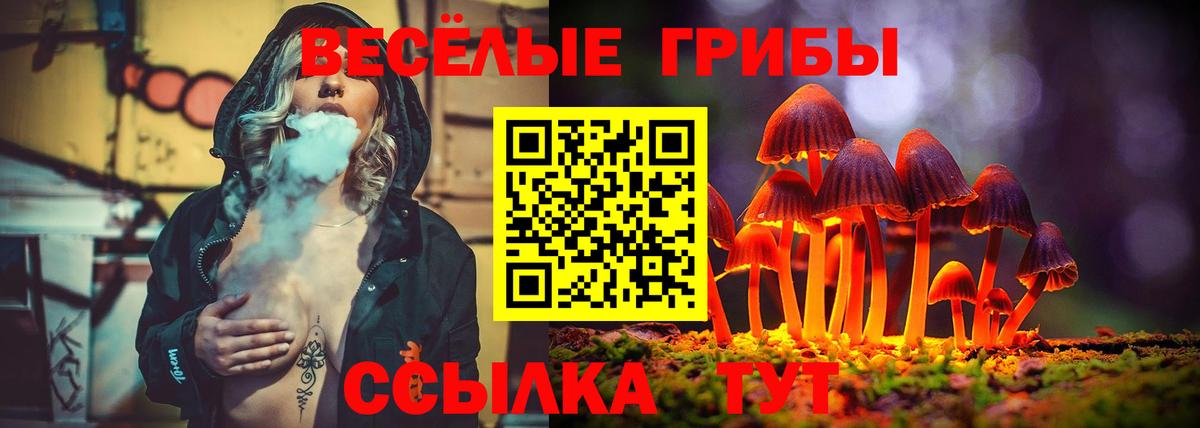 Шарыпово  Галлюциногенные грибы Cubensis  сколько стоит  Псилоцибиновые грибы MAGIC MUSHROOMS  Вход с VPN 